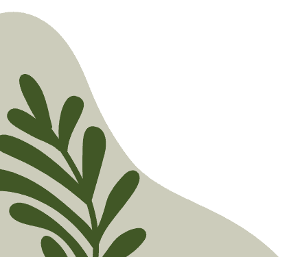 Lê Thị Hồng Hiếu