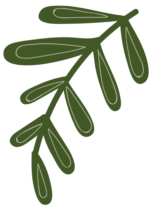 Lê Thị Hồng Hiếu